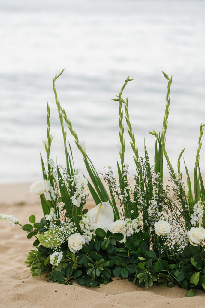 Las Terrenas Dominican Republic Wedding